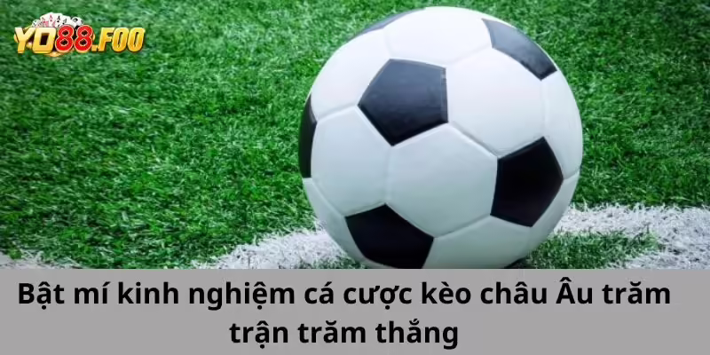 Bật mí kinh nghiệm cá cược kèo Châu Âu trăm trận trăm thắng