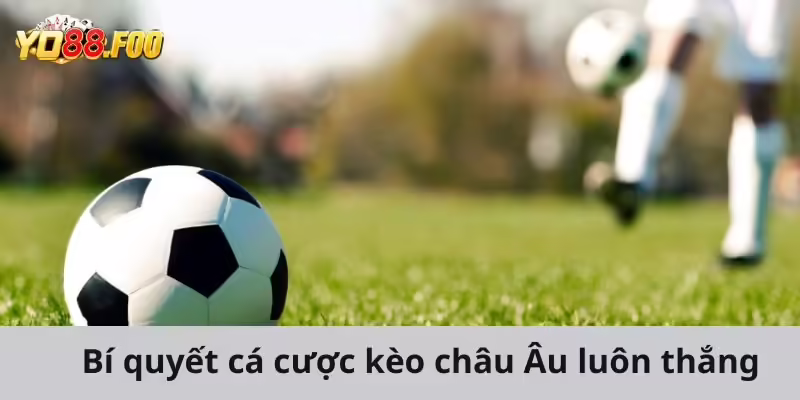 Bí quyết cá cược kèo Châu Âu dễ dàng chiến thắng