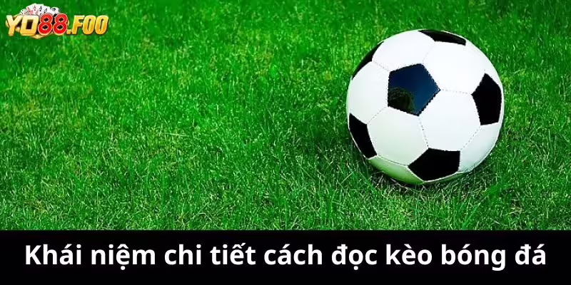Khái niệm chi tiết cách đọc kèo bóng đá